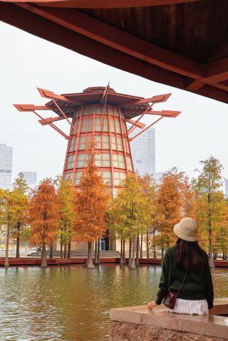 Foshan's Winter Exclusive Romantic Ancient-Style Boardwalk with Caramel-Colored Dawn Redwood