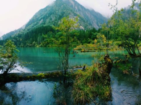 ทะเลสาบกราสซี: สวรรค์บนเทือกเขาแอลป์ที่ซ่อนเร้นในเทือกเขาร็อกกีของแคนาดา