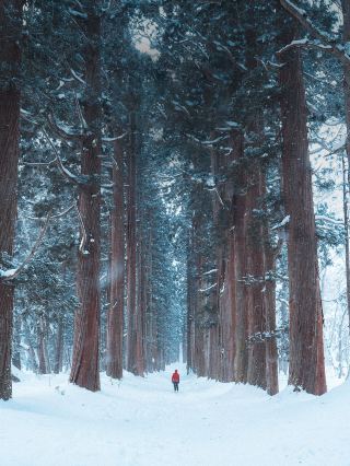 ว้าว ญี่ปุ่นดินแดนลับแห่งนี้ติดใจหนักมาก