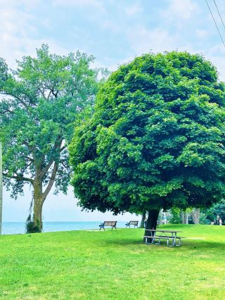 7-day Canada tour recommended for saving