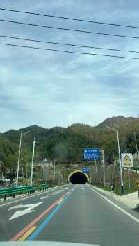 東山問梅村一日遊