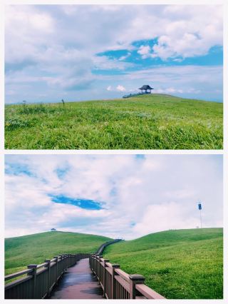 Must-see sea of purple flowers at Jiucaiping