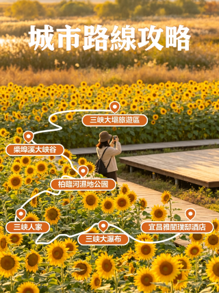 이번 주말 이창의 꽃밭에서 편안한 시간을 보내며 즐거움을 만끽하세요.