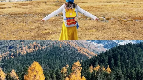 대흥안령의 가을은 이미 저물었어요 — traveler post in 건허
