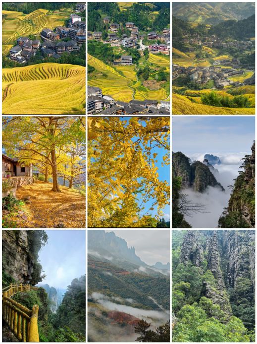 Autumn in Guangxi is legendary! This reverse route is breathtakingly beautiful.