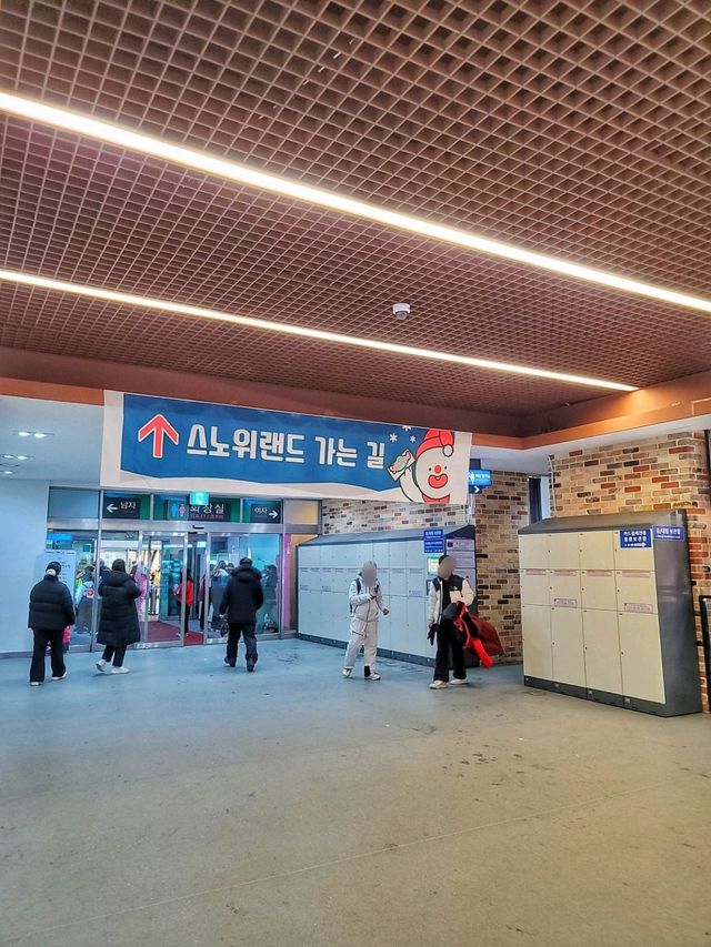 겨울 여행 최고봉, 홍천 비발디파크❄️⛷️🏂