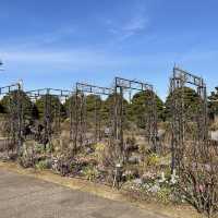 港の見える丘公園