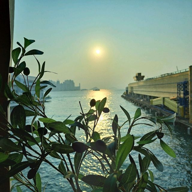 日落海景下午茶