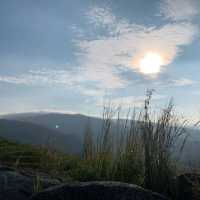 Broga Hill 