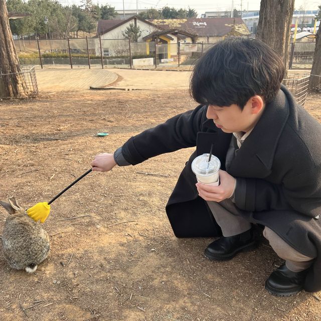 동물과 소통하고 체험이 가능한 곳!! <안성 팜랜드>