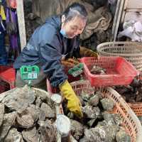 Oyster Mountain & loads of fresh seafood