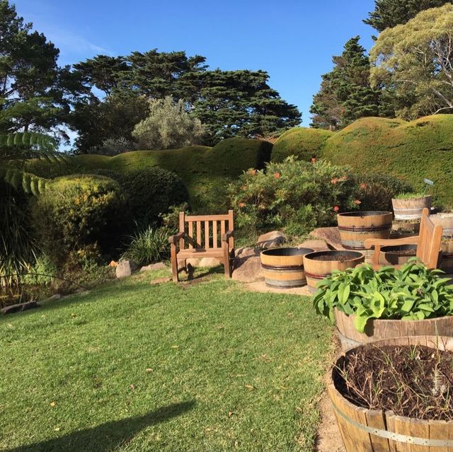 Beautiful garden with hedge maze