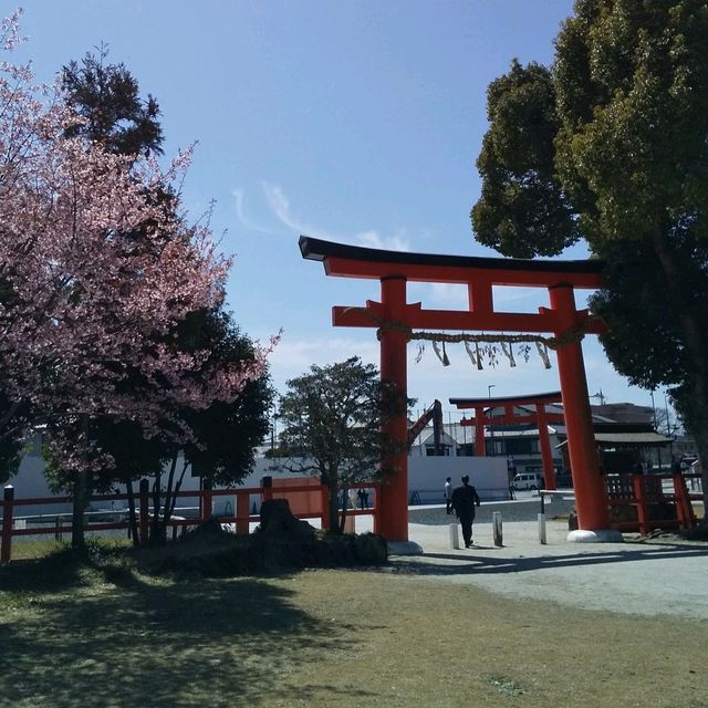 上賀茂神社の桜は五分咲きで華やかだった。