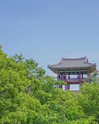 금강뷰 1열 관람가능한 공주 공산성