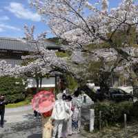 京都清水寺：賞櫻參拜🌸逛逛拍照地分享