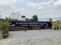 บูชาองค์พญานาค ที่ม่อนพญานาคราชแม่ออน