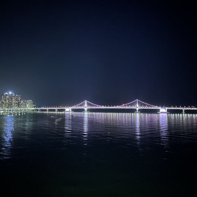我們看廣安大橋夜景吃炸雞😍
