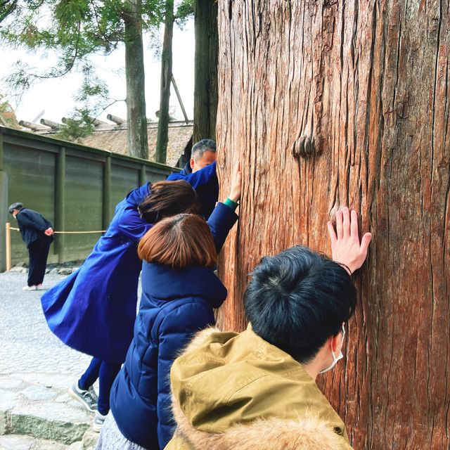 【三重】お伊勢参りは下宮から⛩️