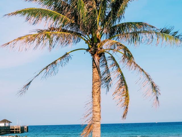หาดสะพลี 