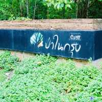 ป่าในกรุงเข้าชมฟรี!! เหมาะกับทุกครอบครัว