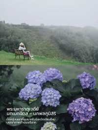 เที่ยวดอยอินฯเชียงใหม่หน้าฝน ได้ฟีลมาก☔️