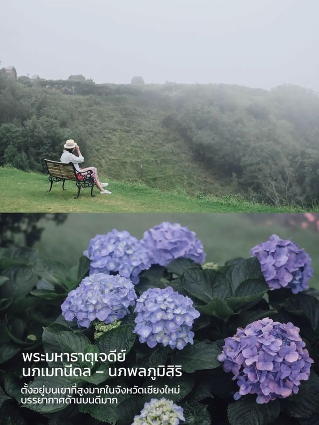 เที่ยวดอยอินฯเชียงใหม่หน้าฝน ได้ฟีลมาก☔️