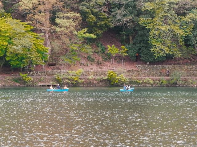 Explore Arashiyama like a local