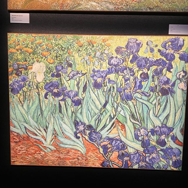 Vincent van Gogh Immersive Experience 