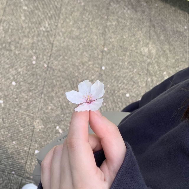 【静岡】蓮華寺池公園