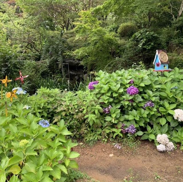 경남 고성에 위치한 작은 식물원, 만화방초