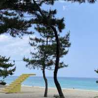 🌊 강릉의 푸르름, 파란 바다의 송정해변에서 힐링을