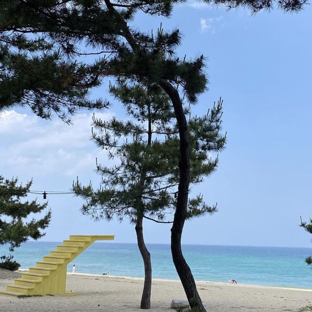 🌊 강릉의 푸르름, 파란 바다의 송정해변에서 힐링을