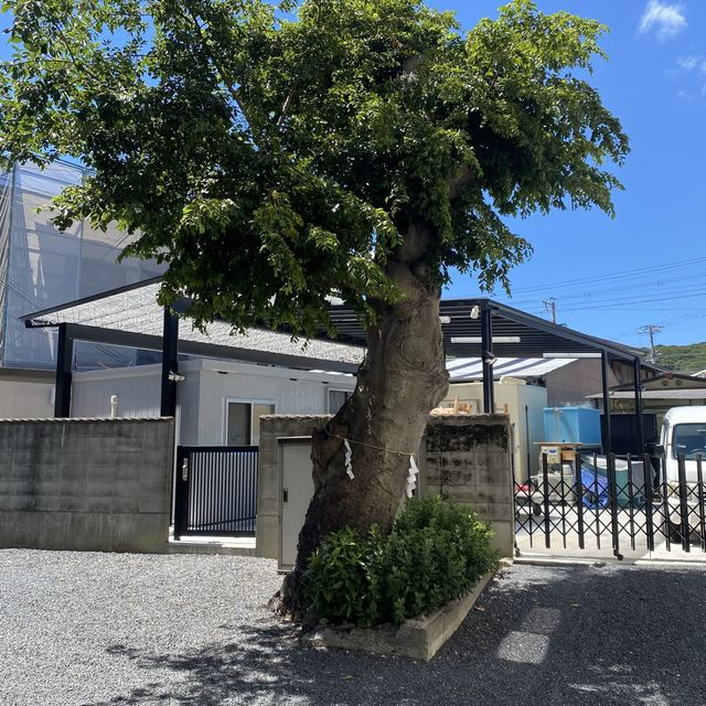 淡路島の岩楠神社（いわくすじんじゃ）洞窟のある隠れたように建つ神社