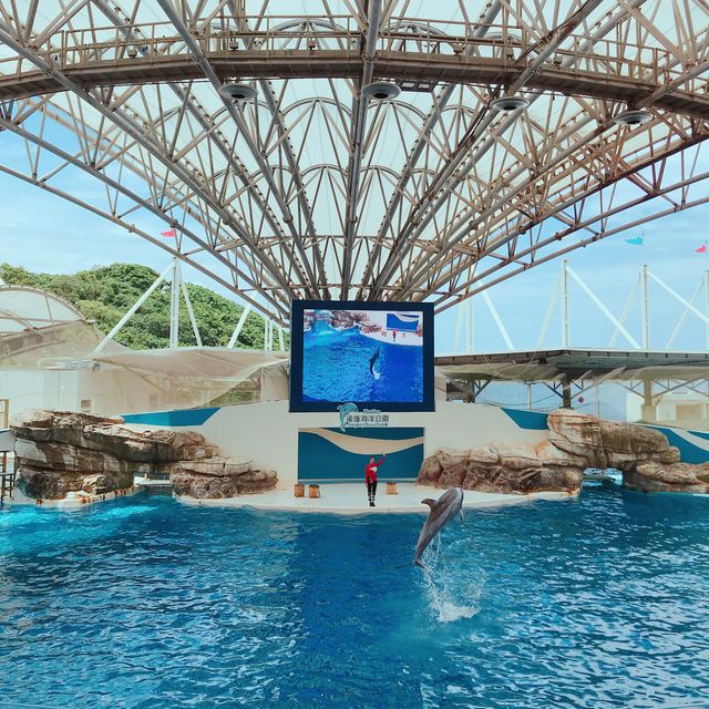 花蓮｜遠雄海洋公園🐟🐬🦭親子一定要來的好去處⛱️