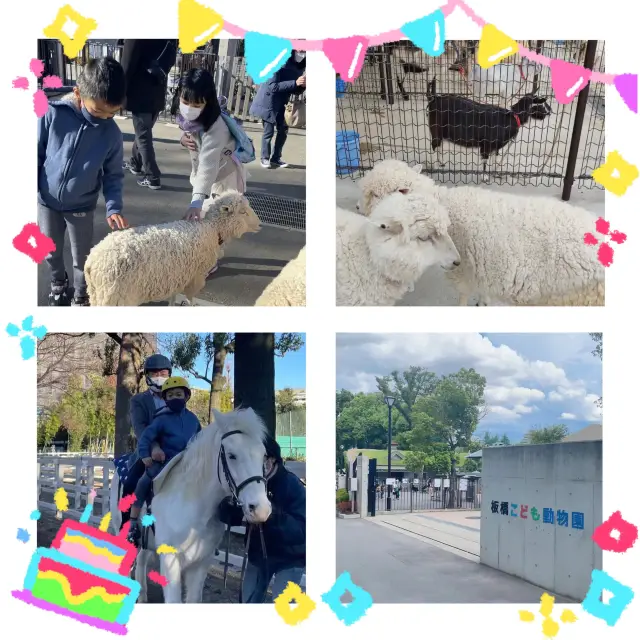 和動物們一起嬉戲！東京的板橋兒童動物園🐑🐴🌳