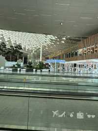 久々の仁川空港が素敵でした!