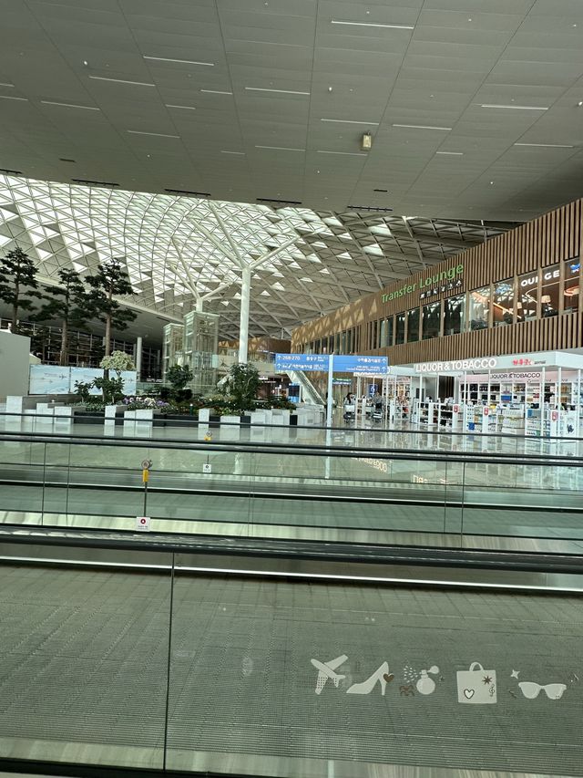 久々の仁川空港が素敵でした! 久々の仁川空港が素敵でした!