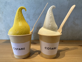 홋카이도・오타루. 한정 호박 🎃 소프트 아이스크림이 맛있는 가게 "COTARU"