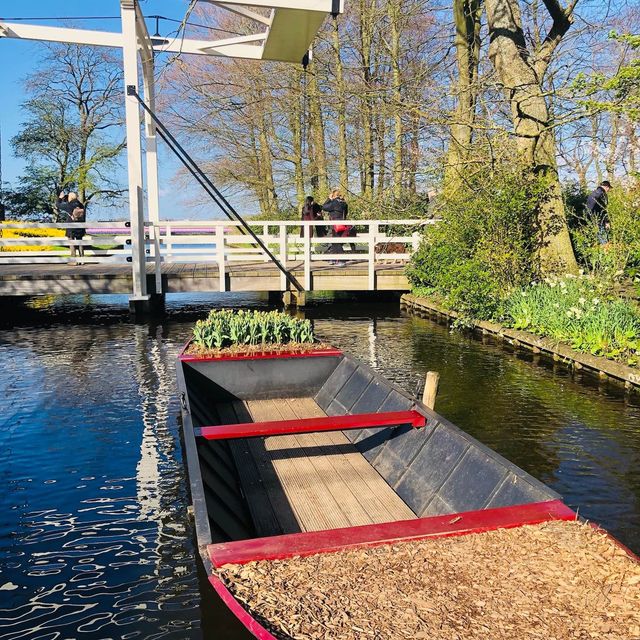 荷蘭🇳🇱盧瑟Lisse•風車景觀區🎡🛶Keukenhof Garden庫肯霍夫花園 