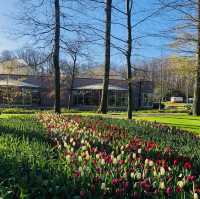 荷蘭🇳🇱盧瑟Lisse•風車景觀區🎡🛶Keukenhof Garden庫肯霍夫花園 