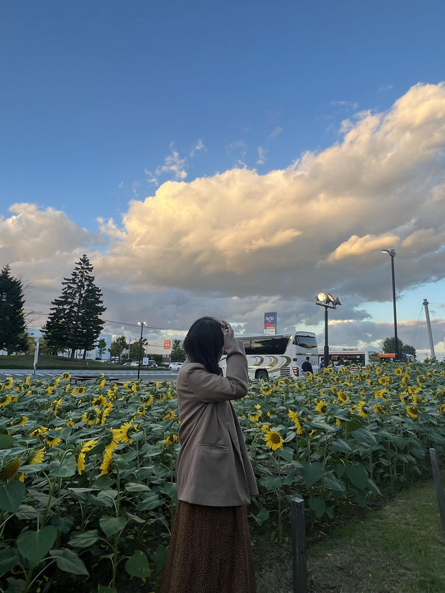 Origin of the famous Sapporo beer - Sapporo Beer Museum