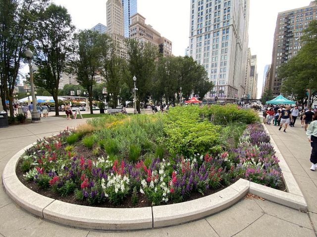 Millennium Park 🍃✨