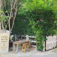 เจอ Stay with Tree Cafe🌿