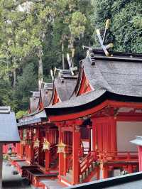 【大阪府/枚岡神社】境内に鹿がいる「元春日」