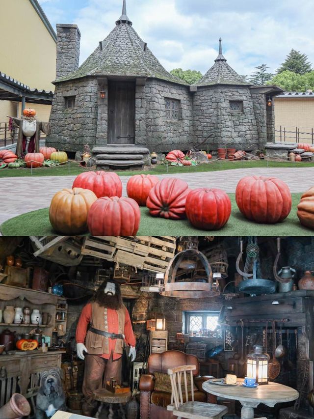 【東京】世界で2番目！！ここでしかできない体験も🪽いざ、魔法の世界へ旅立とう🪄