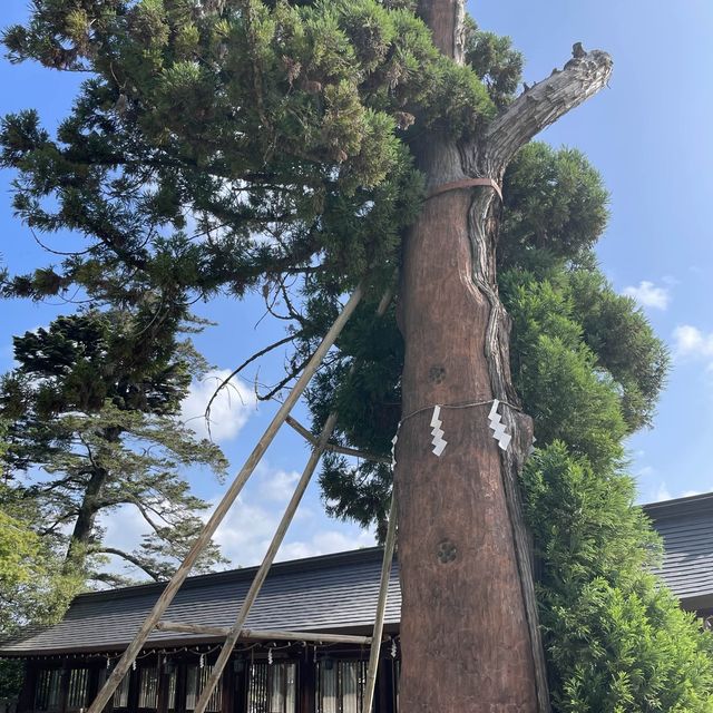 【岡山県】桃太郎伝説の地・岡山「吉備津彦神社」