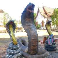 ไหว้พระธาตุคนปีเกิดปีมะเส็ง วัดเจ็ดยอด เชียงใหม่