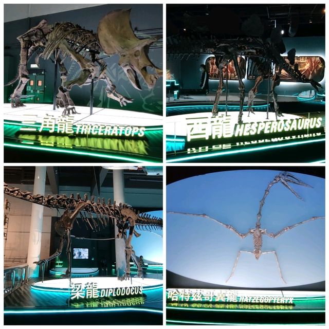 踏入侏羅紀世界的"八大尋龍記"🦖