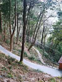 深山老林寺廟