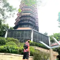 元朗公園-百鳥塔